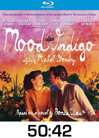 Mood Indigo Bluray Review