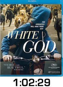 White God Bluray Review
