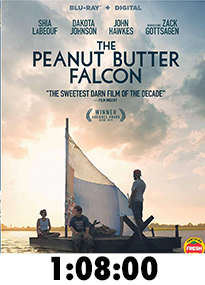The Peanut Butter Falcon DVD Review