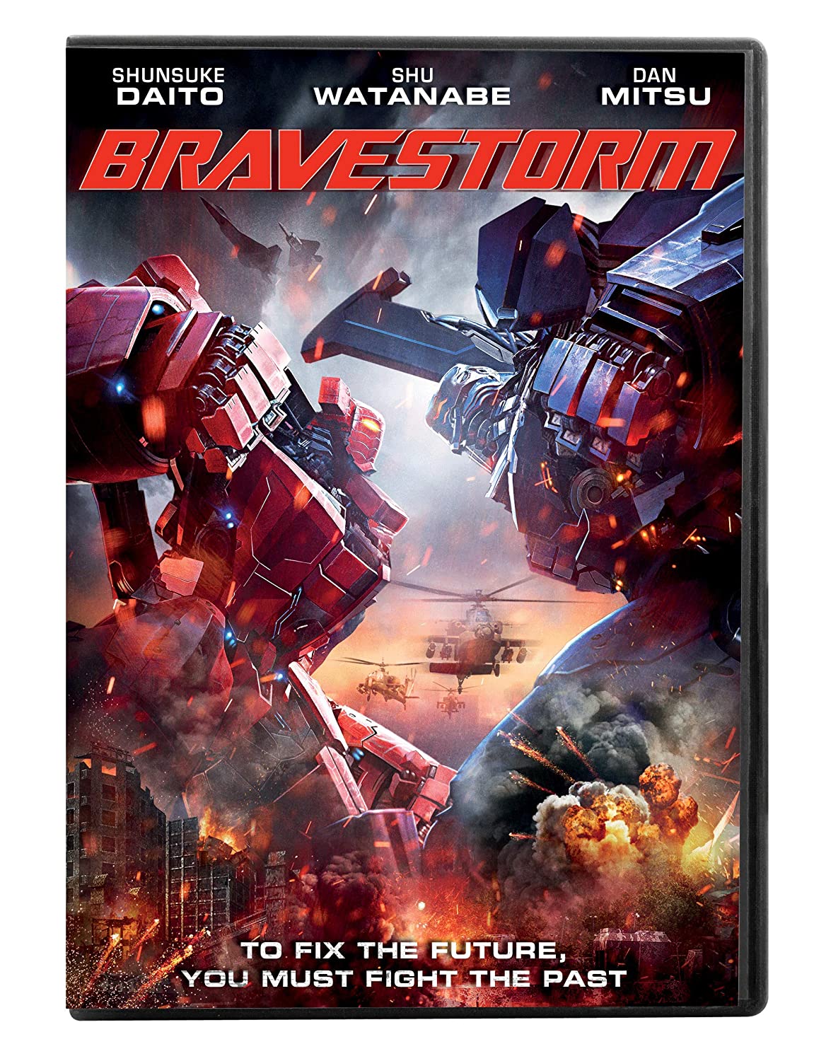 Bravestorm DVD Review