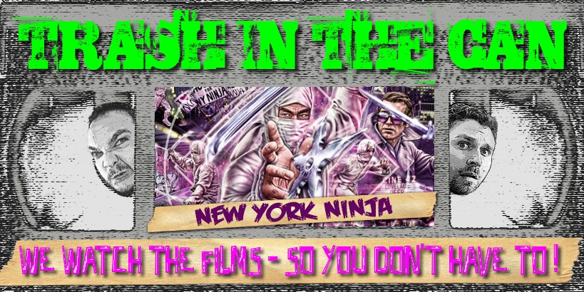 Trash in the Can - New York Ninja