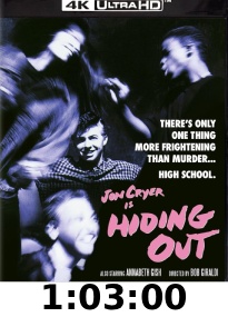 Hiding Out 4k review 
