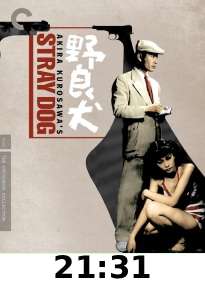 Stray Dog 4k review